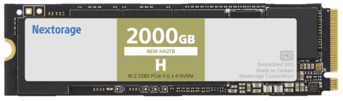 NEM-H