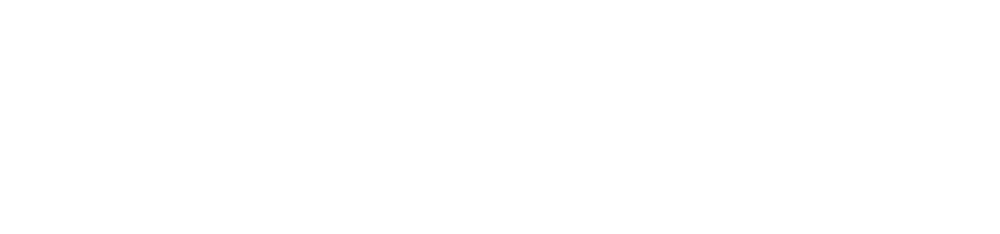 Max.Sequential READ 12,400 MB/s Max.Sequential WRITE 11,800 MB/s