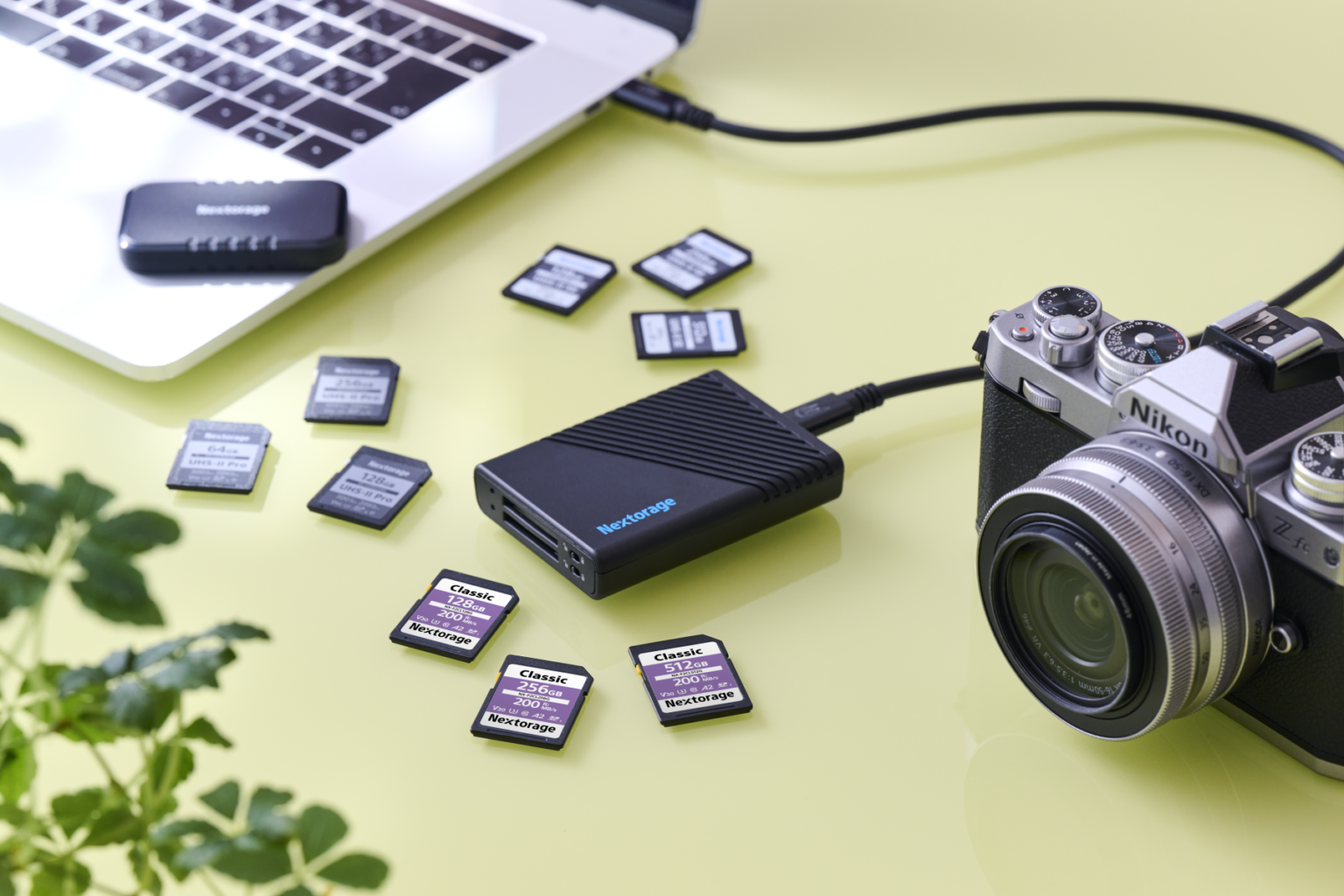 Nextorage NX-DF1CL カードリーダー NX-DF1CL | SDXC対応USB 10Gbps デュアルスロットカードリーダー